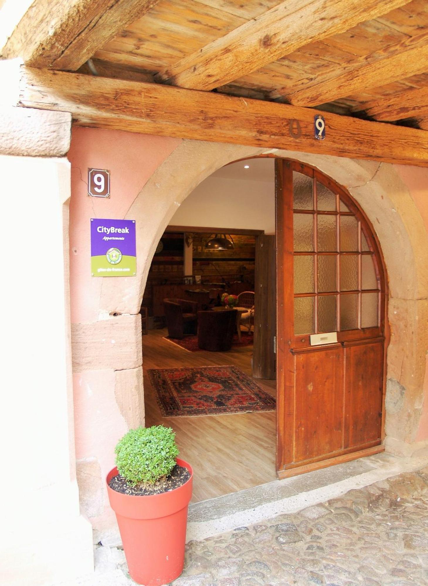 Les Appartements De Louise Riquewihr Exteriér fotografie